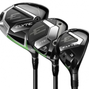 Elyte / Great Big Beartha