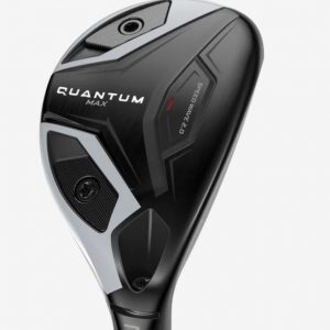 Quantum Max Hybrid