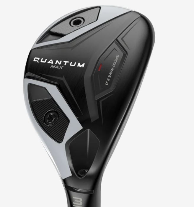 Quantum Max Hybrid