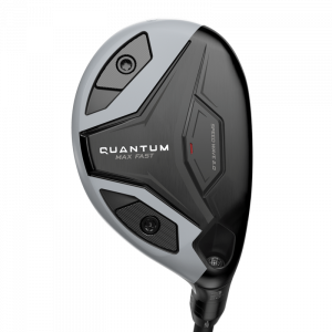 Quantum Max Fast Hybrid
